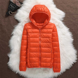 Francisca - Transitional Jacket