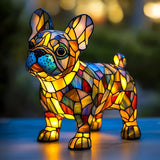 Szarik - Wonderful French Bulldog