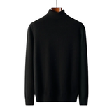 Cagliari Merino Wool Turtleneck