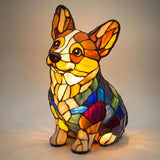 Rocky – Radiant Light Corgi