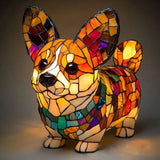 Rocky – Radiant Light Corgi