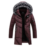 Elegant Windbreaker Jacket